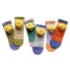 60 Yarns IVY RAINBOWY HAPPY Heel Ankle Socks - 6 Colors